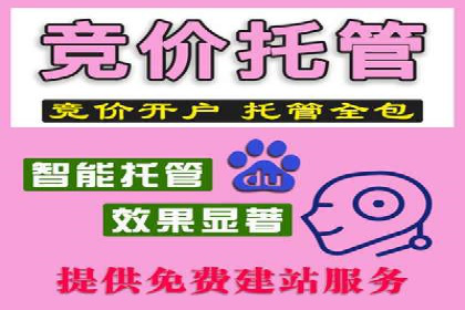 竞价代运营成功案例解析